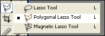 Polygonal Lasso Tool